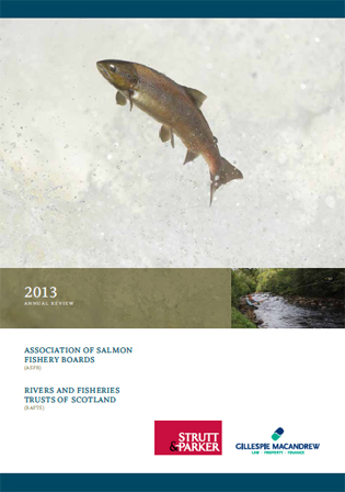 2013 Review Cover