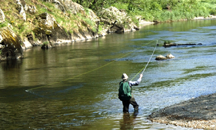 Fly fishing on river Tweed by Peebles